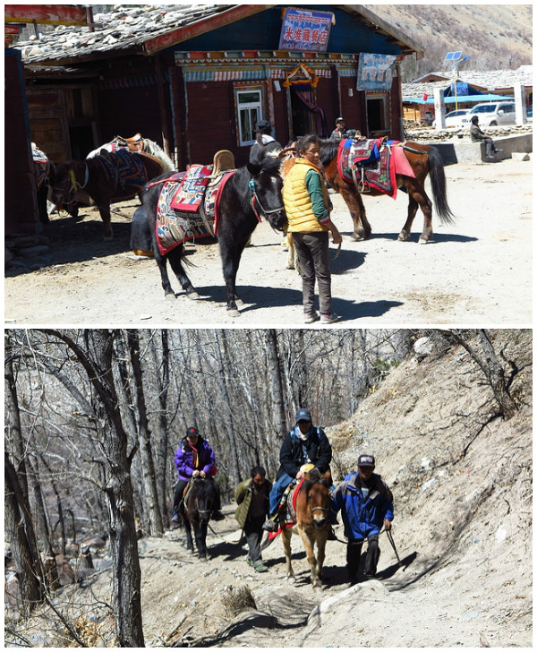 26天川藏青海大迴環之旅 (然烏 - 波密)