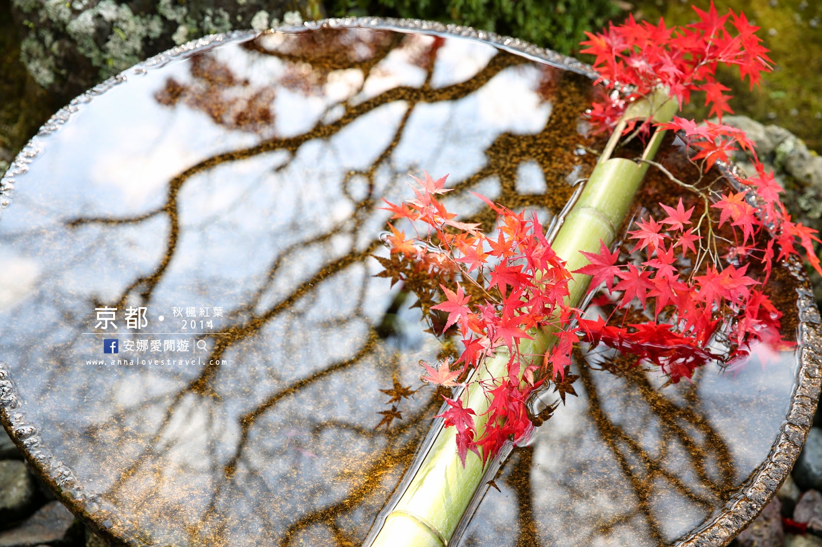 【京都紅葉之旅】最美的圓光寺．畫般的詩仙堂