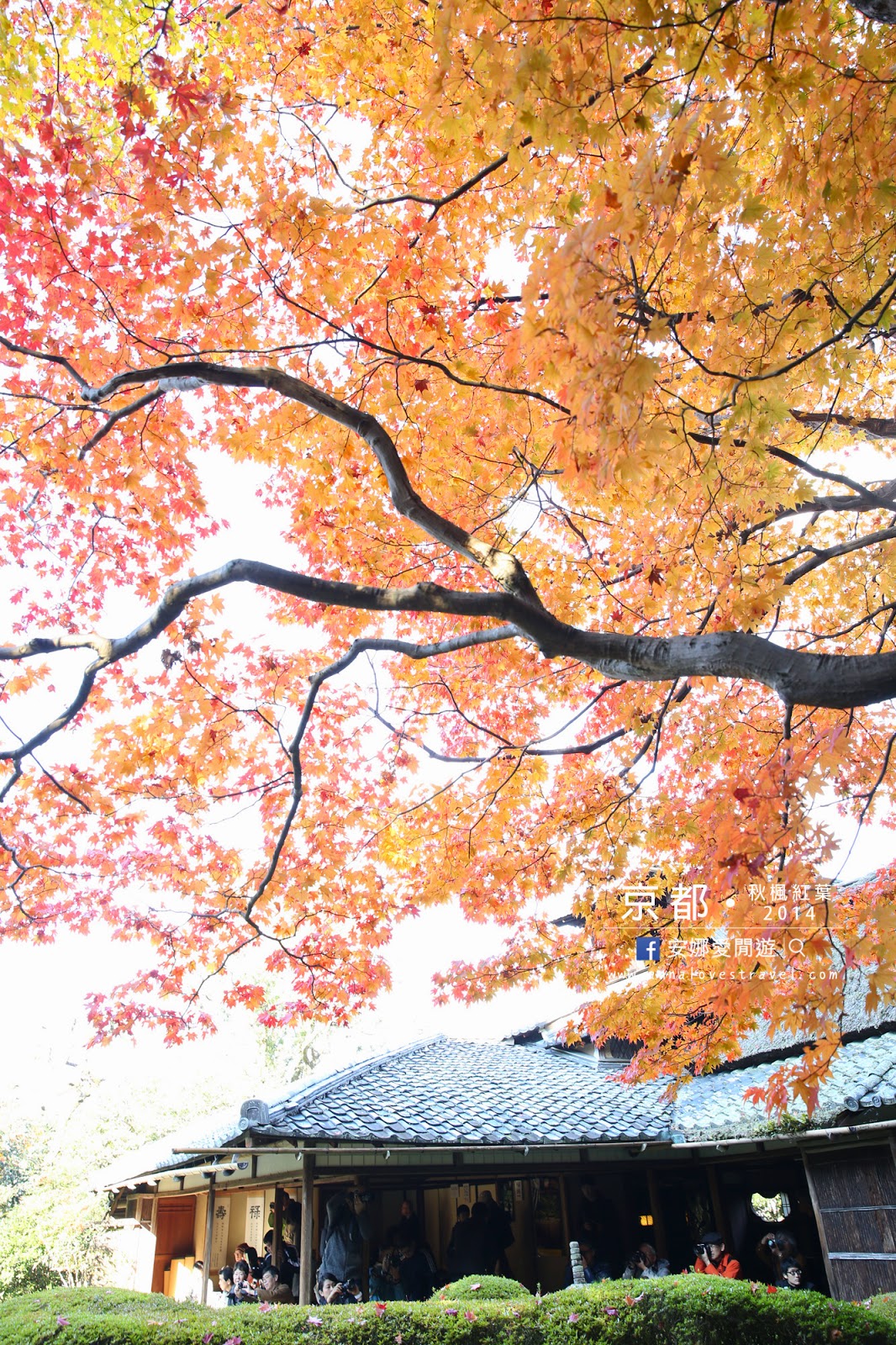 【京都紅葉之旅】最美的圓光寺．畫般的詩仙堂