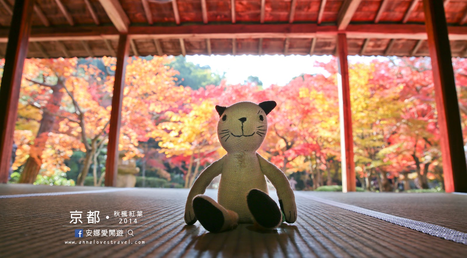 【京都紅葉之旅】最美的圓光寺．畫般的詩仙堂