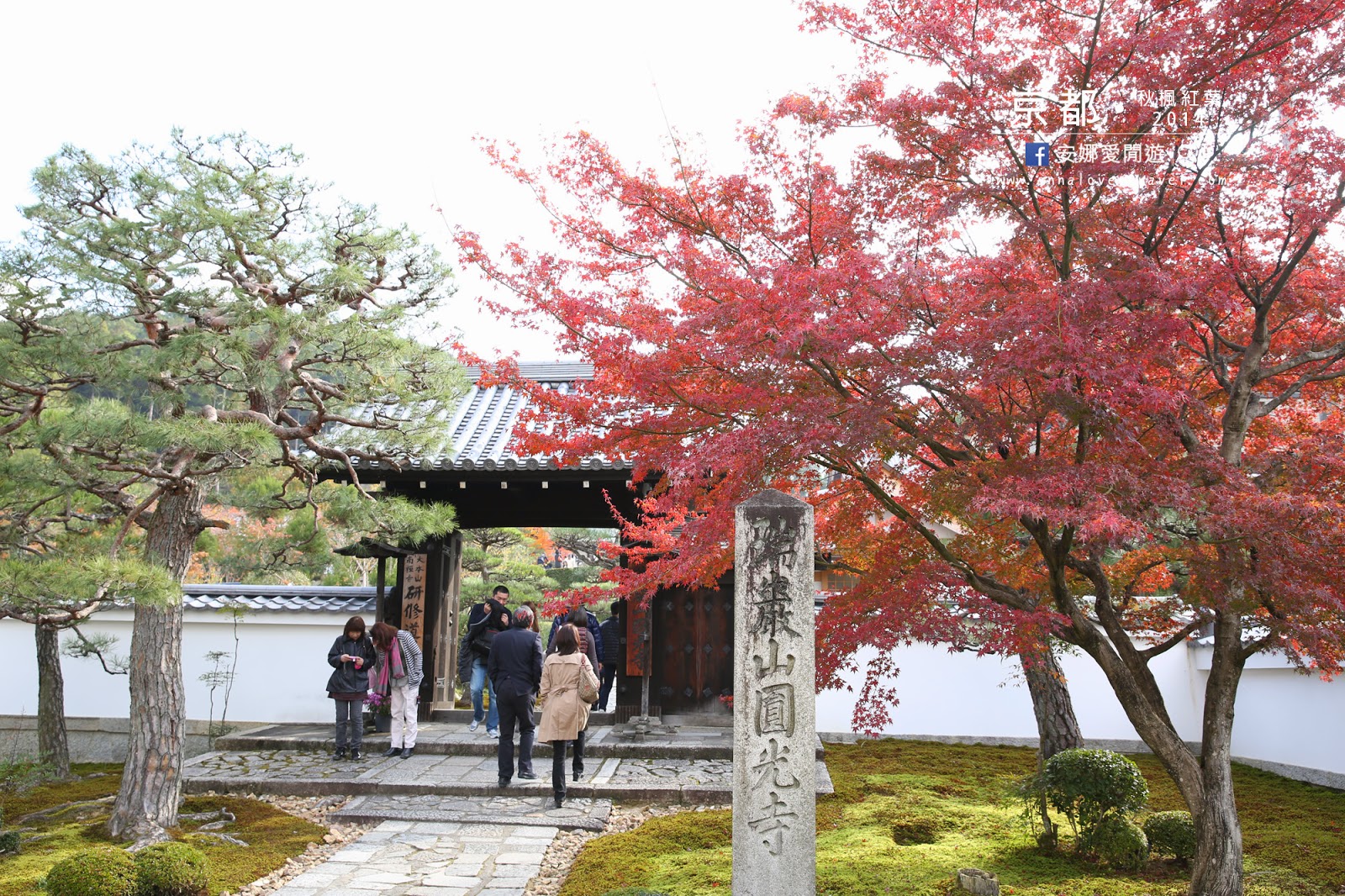 【京都紅葉之旅】最美的圓光寺．畫般的詩仙堂