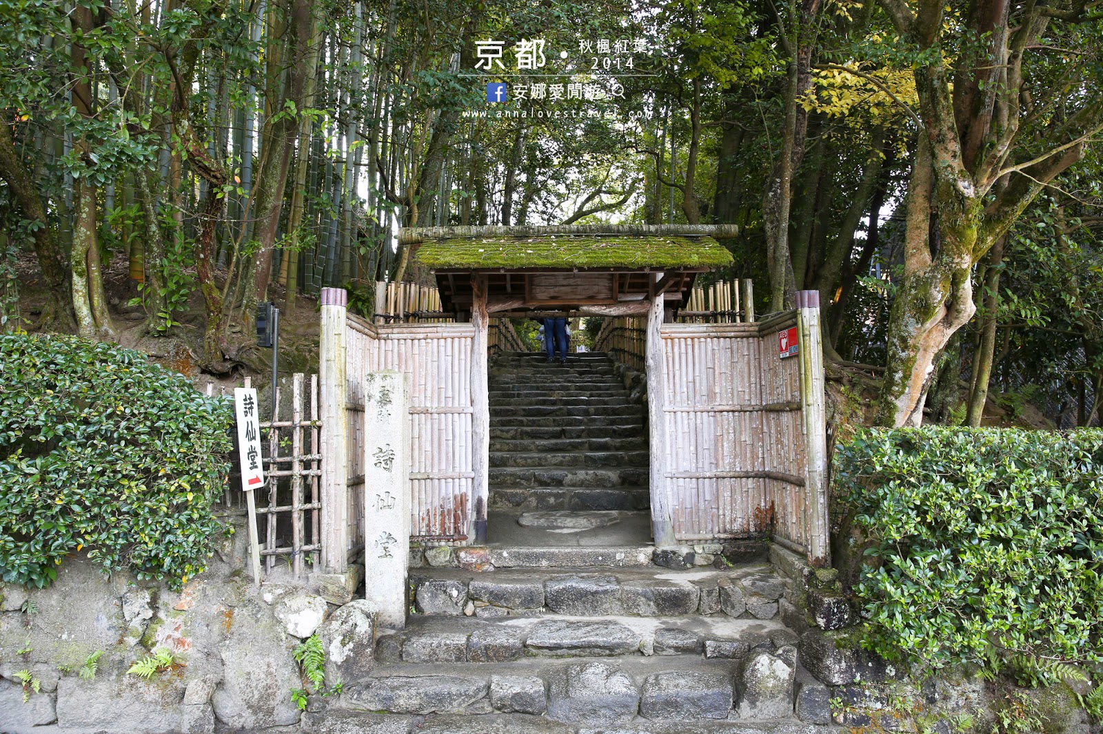 【京都紅葉之旅】最美的圓光寺．畫般的詩仙堂