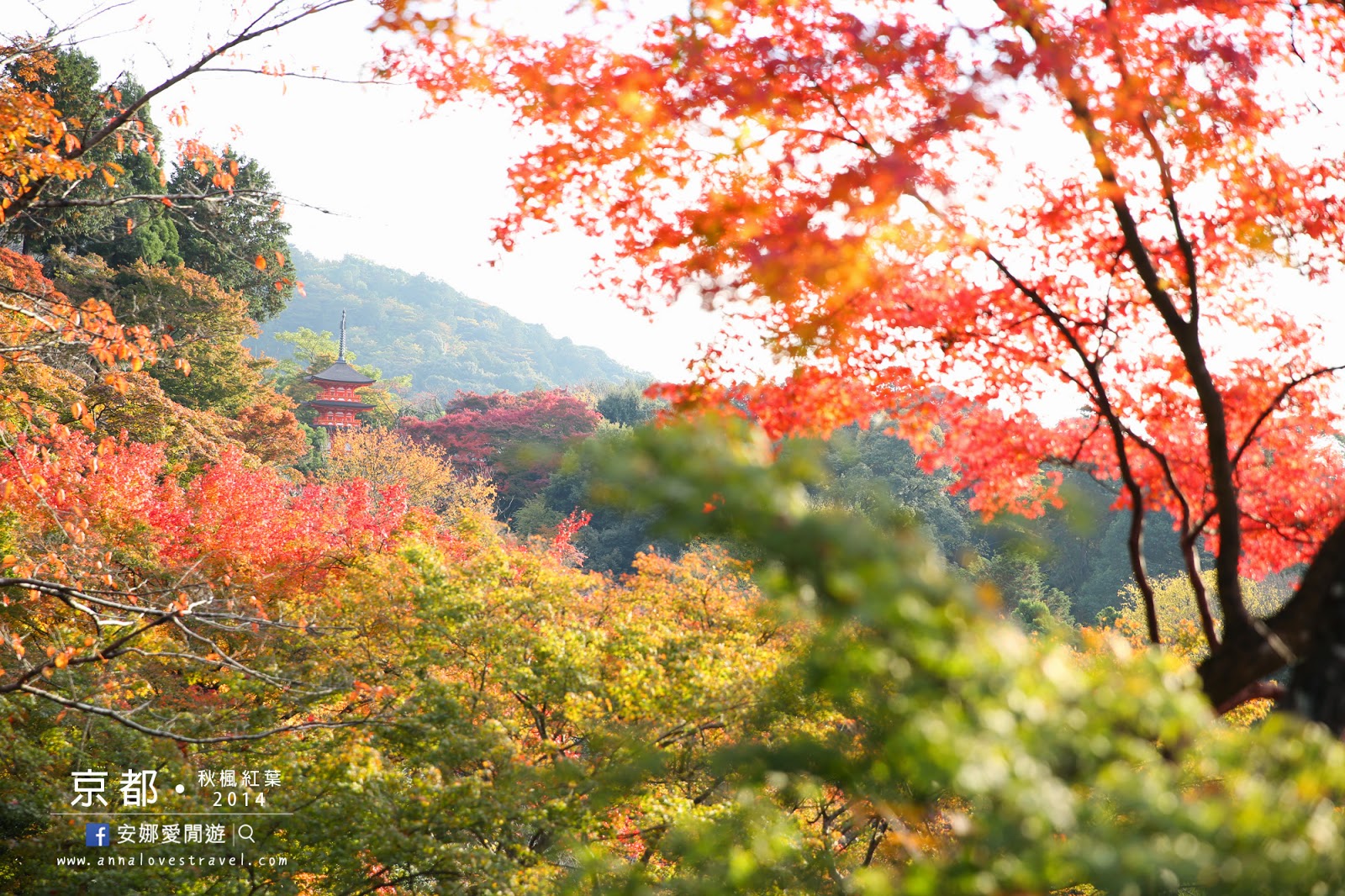 【京都紅葉之旅】清水寺的日與夜．紅葉與夜楓