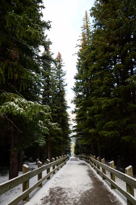 追蹤加鄉的北極光 - 路易斯湖 Lake Louise II