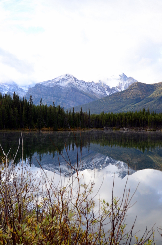 追蹤加鄉的北極光 - 路易斯湖 Lake Louise II