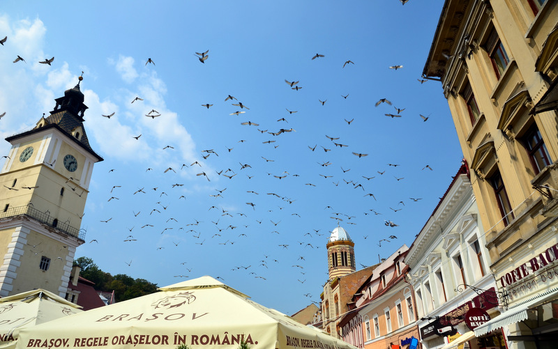 夏末潛逃巴爾幹 - Romania (Brasov)