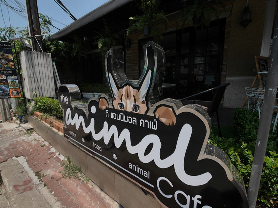 曼谷奇珍異獸得意動物餐廳 Animal cafe