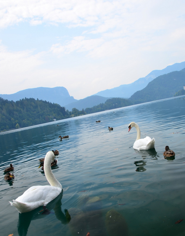 夏末潛逃巴爾幹 - 斯洛文尼亞 碧湖 Slovenia (Lake Bled)