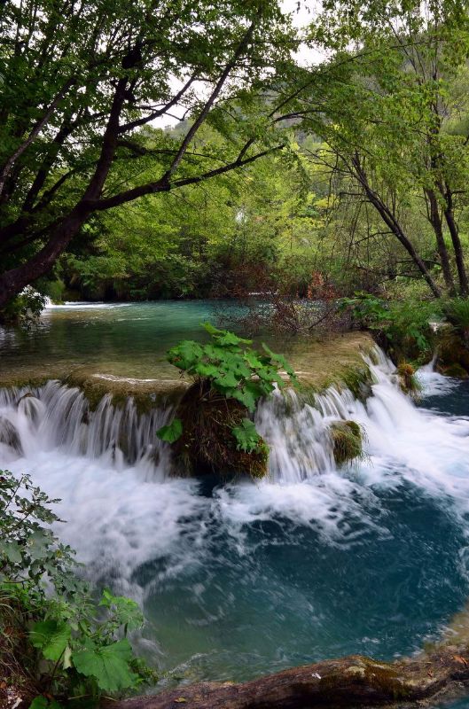 夏末潛逃巴爾幹 - 克羅地亞 十六湖 Croatia (Plitvice Park) II